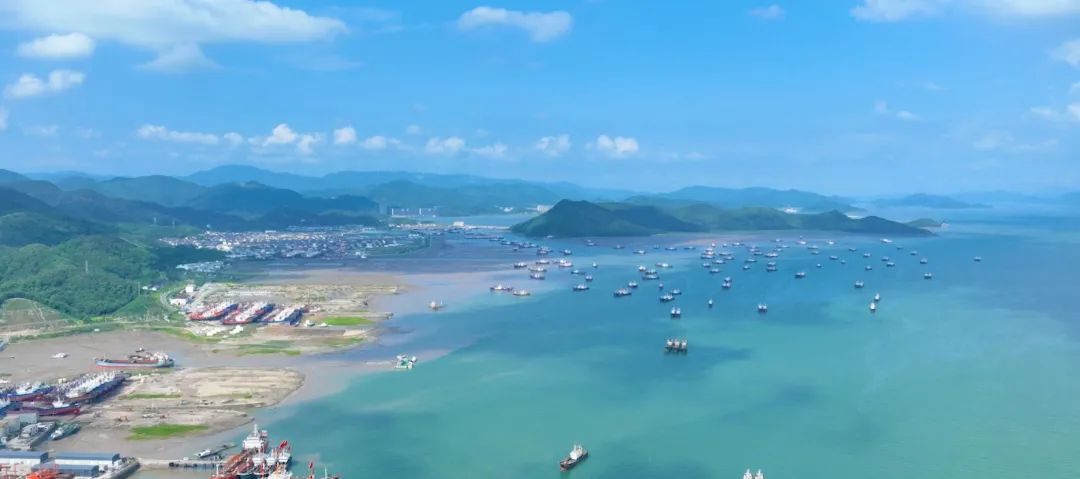 奉化區(qū)桐照漁港品質(zhì)提升項(xiàng)目開始施工